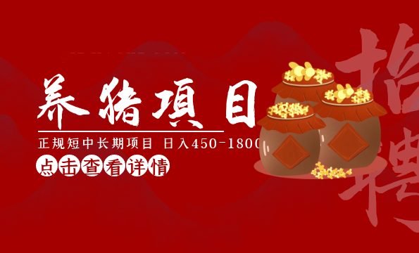 独家揭秘养猪项目，正规短中长期项目，日入450-1800元（全套课程+工具）