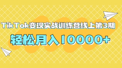 抖音国际TikTok变现实战训练营，轻松月入10000+