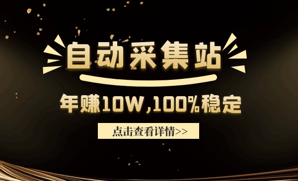 自动采集网站如何赚钱：教你做一个年赚10万的自动采集站100%稳定