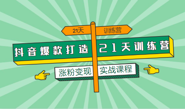 抖音爆款打造21天训练营，涨粉实战视频课程