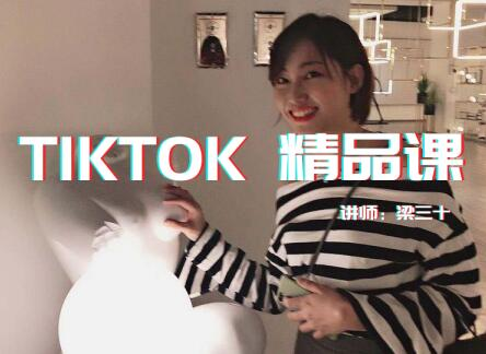 Tiktok精品实操视频教程课,单账号最高成绩210w粉丝，单条视频最高300w点赞