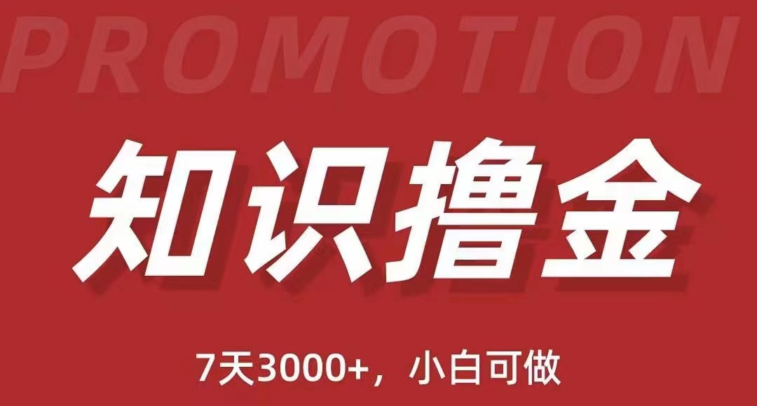 抖音知识图文电子书风口项目简单暴力日入1000+